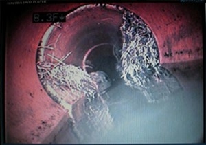 trenchless pipe repairs minneapolis mn